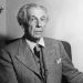ahli asitektur dunia : Frank Lloyd Wright